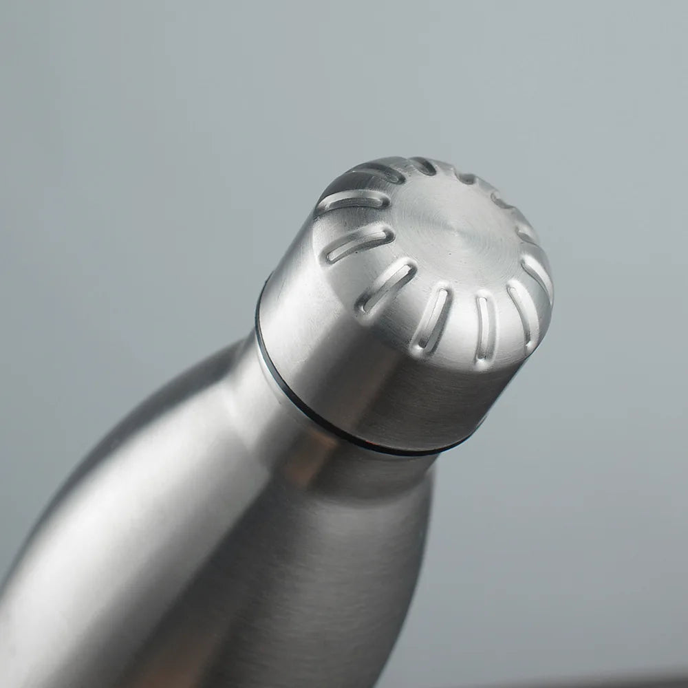 Stainless Steel Water Bottle